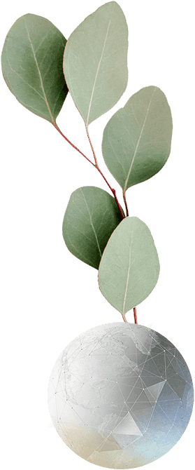 Plant with a globe